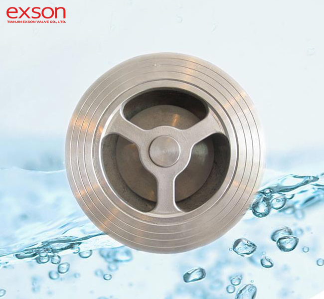 Stainless Stee Liftl Check Valve